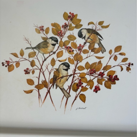 Vintage R2S Monza Melamine 20” Serving Tray with Chickadee Artwork by J Lockhart - Picture 2 of 7